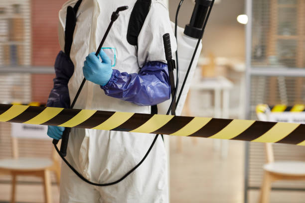 Professional Hoarding Cleanup technician working in Brentwood, NY